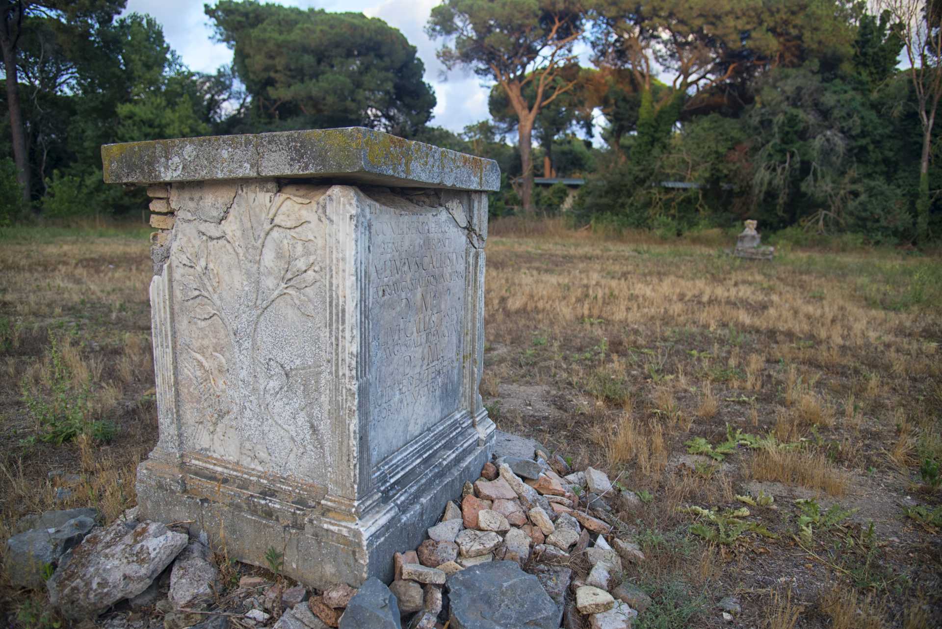 Villa Chigi, un altro gioiello del nostro territorio